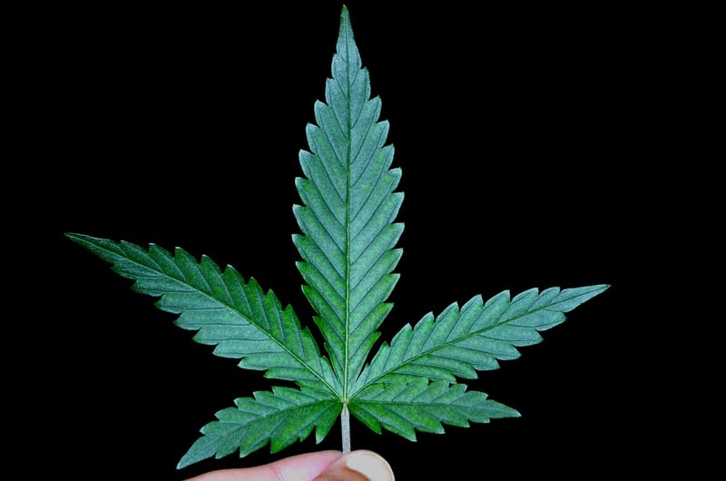 Weed Management